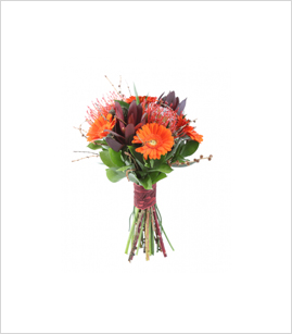 online-store5